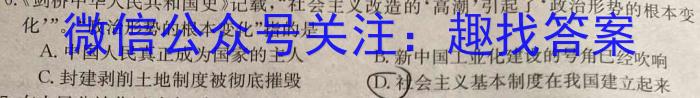 安徽省六安市2023-2024学年度九年级秋学期定时作业（一）政治s