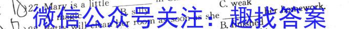 陕西省2024届九年级教学质量检测B英语