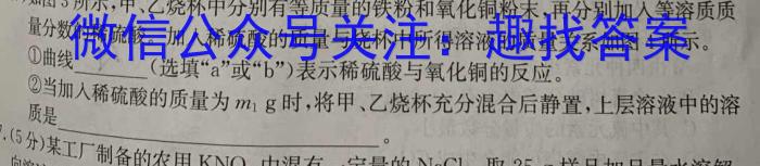 12024届湖南省高三入学摸底联考(8月)化学