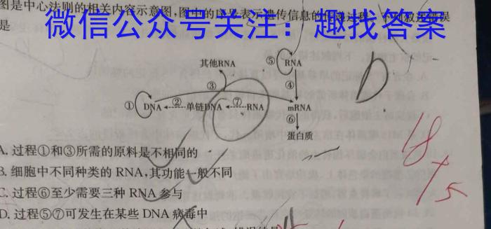 ［开学考］九师联盟2022-2023学年高三教学质量检测（L）生物试卷答案