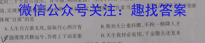 安徽省2023-2024学年高二年级上学期阶段检测联考政治~