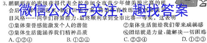 安徽省2024年中考总复习专题训练 R-AH(十二)12政治试卷d答案