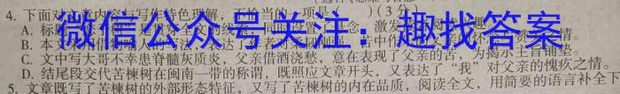 广西省2024届高三试卷9月联考(铅笔 GX)语文