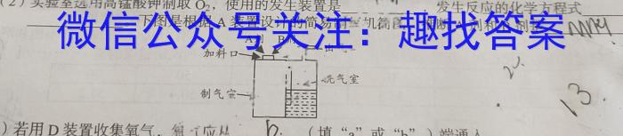 124届高三年级TOP二十名校调研考试一化学