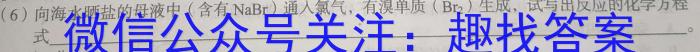 b江西省稳派教育联考2024届高三开学摸底考试化学