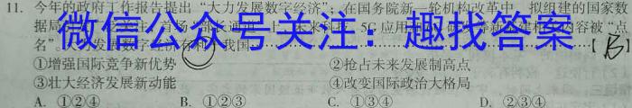 安徽省2024届九年级阶段诊断（三）政治~