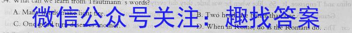 安徽省2024届九年级阶段评估1L R(一)英语