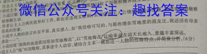 河北省沧州市2023-2024学年八年级第一学期教学质量检测一（10.10）语文