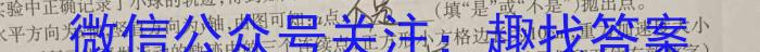 2024届安徽省皖南八校8月高三开学考试z物理