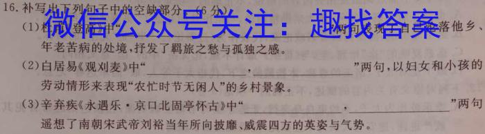 河南省2023-2024学年度高二年级阶段性检测(一)/语文