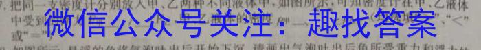 2024湖北部分名校新高考协作体高三起点考q物理