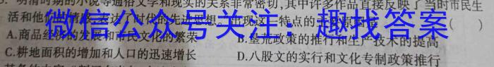2024届安徽a10开学考高三考试（政治）