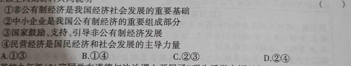 【精品】2024年陕西省初中学业水平考试全真模拟(七)7思想政治