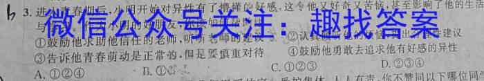 九师联盟·2024届高三10月质量检测巩固卷(LG）政治~