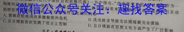 2023-2024学年安徽省九年级上学期开学摸底调研政治s