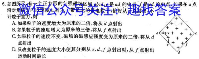 2024届河南8月高三摸底考试z物理