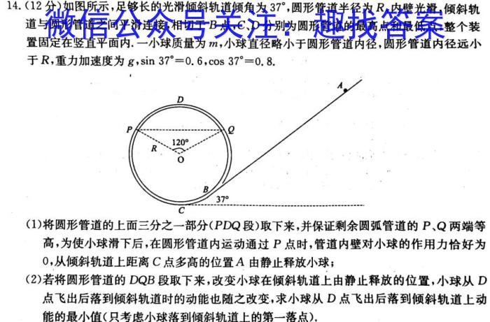 江淮十校2024届高三第一次联考（8月）化学试卷及参考答案l物理