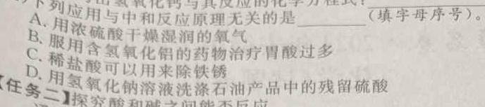 7陕西省2024届九年级阶段评估（一）【1LR】化学