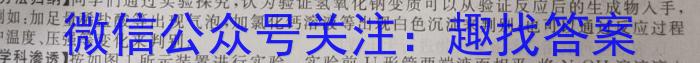 q安徽省2023～2024学年九年级开学摸底练习化学