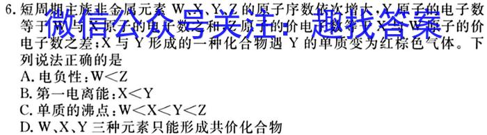 j陕西省2024届九年级阶段评估（一）【1LR】化学