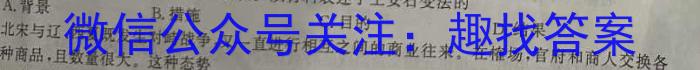 江西省吉安市第八中学2024届九年级入学测评历史