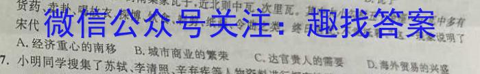 江西省新余市2023-2024学年度实验中学初三入学（考试）测试政治s