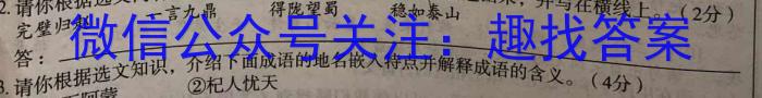 云南省昆明市云大附中2023-2024学年九年级秋季学期学业检测（一）/语文