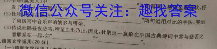 江西省连云港东海县2023-2024学年七年级上学期新生素养检测语文