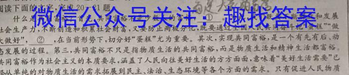 陕西省2023-2024学年度第一学期第一阶段九年级综合作业（A）/语文