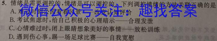 陕西省2024-2025学年度八年级第一学期第三阶段创新作业G政治试卷d答案