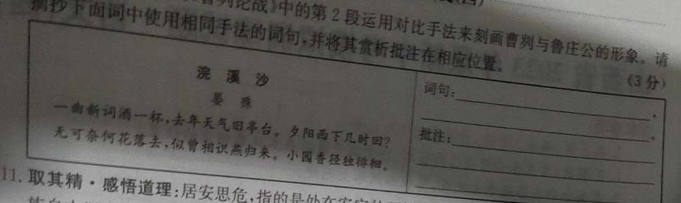 山西省2023-2024学年度九年级第一学期期中学情调研(A)语文