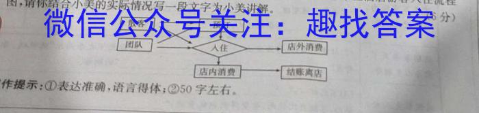 安徽省2023～2024学年八年级开学摸底练习语文