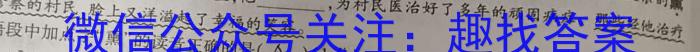 陕西省2023-2024学年秋季高二开学摸底考试（8171A）语文