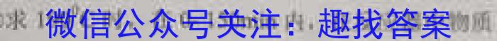 3安徽省2024届九年级阶段评估1L R(一)化学