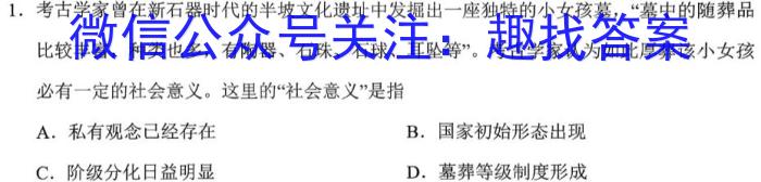 全国大联考2024届高三第一次联考(1LK·新高考-Y)历史