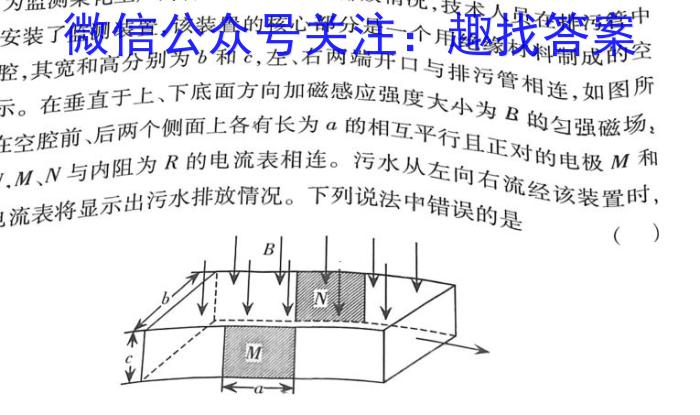 河南省教育研究院2024届新高三8月起点摸底联考历史试卷及参考答案物理.