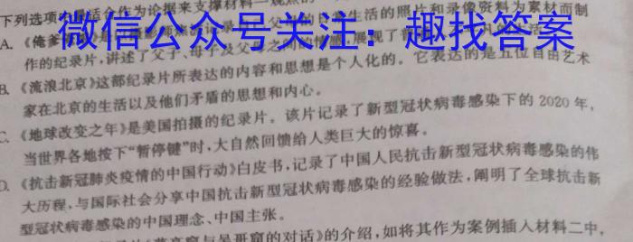 陕西省2024届九年级收心考试（温泉）/语文