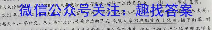 云南省云师大附中2023-2024学年初一分班考试语文