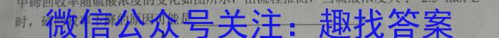 j安徽省2024届九年级阶段评估（一）【1LR】化学