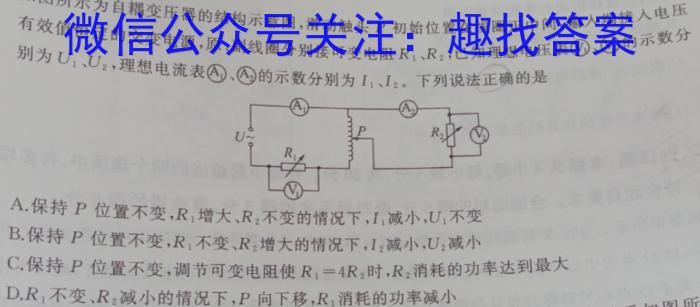 江淮十校2024届高三第一次联考（8月）化学试卷及参考答案物理.