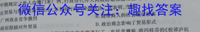 24届高三年级TOP二十名校调研考试一历史试卷