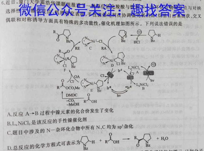 3全国大联考2024届高三第一次联考(1LK·新教材老高考-Y)化学