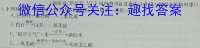 河北省2023-2024学年高三省级联测考试（8月）语文