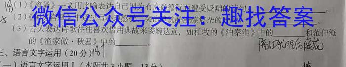非凡吉创 2024届高三TOP二十名校调研考试一(243016D语文