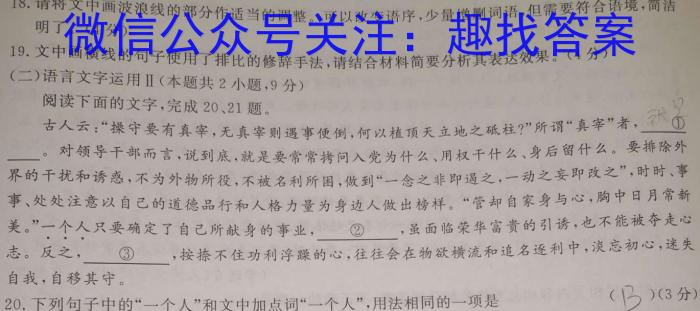 菁师联盟2024届10月质量监测考试/语文