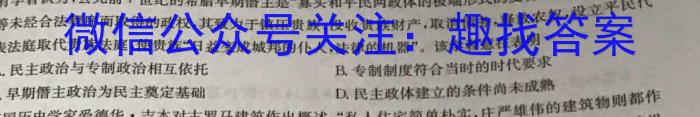 百师联盟2025届高二年级模拟考试（湖南卷）历史