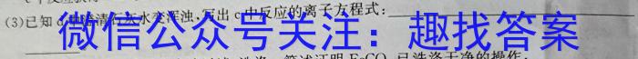 32023-2024年山东省青岛市九年级月考质检化学