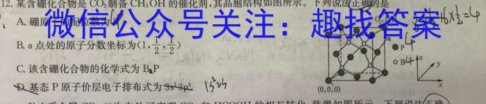 b江淮十校2024届高三第一次联考（8月）英语试卷及参考答案化学