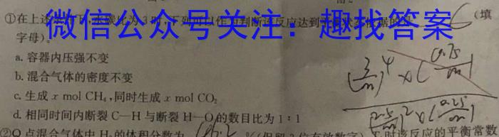 3河南省教育研究院2024届新高三8月起点摸底联考地理试卷及参考答案化学