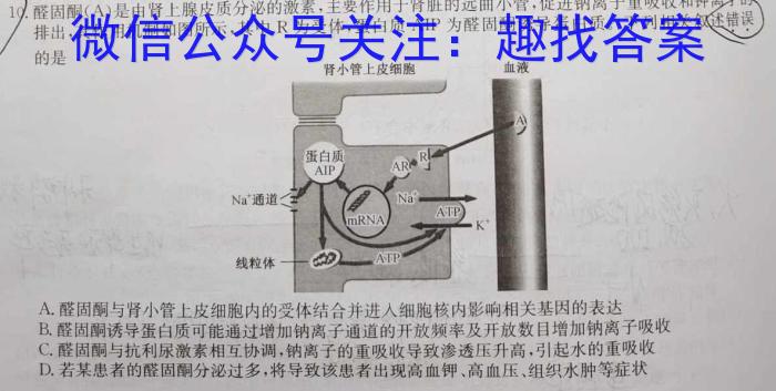 ［衡水大联考］衡水金卷2024届新高三摸底联考（先享卷）生物试卷答案